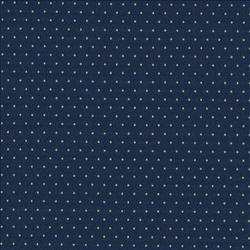 Martinez Twilight by Kasmir Fabric 5088 100% Polyester CHINA 30,000 Wyzenbeek Double Rubs H: 6/8 inches, V: 1 2/8 inches 54 - 56 - Fabric Carolina - Kasmir