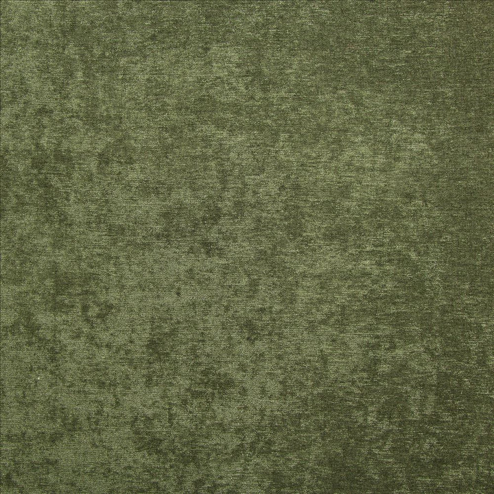Marvelous Forest by Kasmir Fabric 5172 100% Polyester
 CHINA 81,000 Wyzenbeek Double Rubs </p><p>Repeat: Horizontal: N/A and Vertical: N/A 54 - Fabric Carolina -