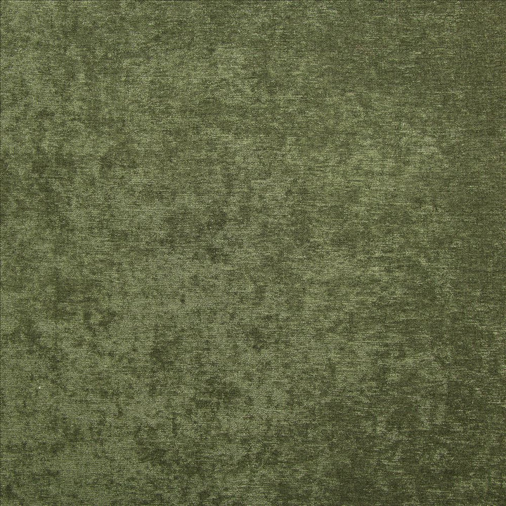 Marvelous Forest by Kasmir Fabric 5172 100% Polyester
 CHINA 81,000 Wyzenbeek Double Rubs Horizontal: N/A and Vertical: N/A 54 - Fabric Carolina -