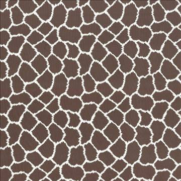 Masai Latte by Kasmir Fabric 5084 100% Cotton INDIA 20,000 Martindale Cycles H: 13 inches, V: 13 inches 57 - Fabric Carolina - Kasmir