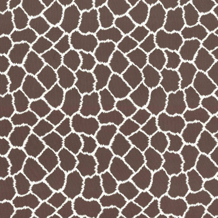 Masai Latte by Kasmir Fabric 5084 INDIA 20,000 Martindale Cycles H: 13 inches, V:13 inches 57 - Fabric Carolina - Kasmir
