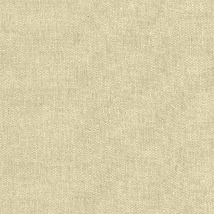 Mateo Almond by Kasmir Fabric 5165 100% Polyester
 INDIA </p><p>Repeat: Horizontal: N/A and Vertical: N/A 54 - Fabric Carolina -