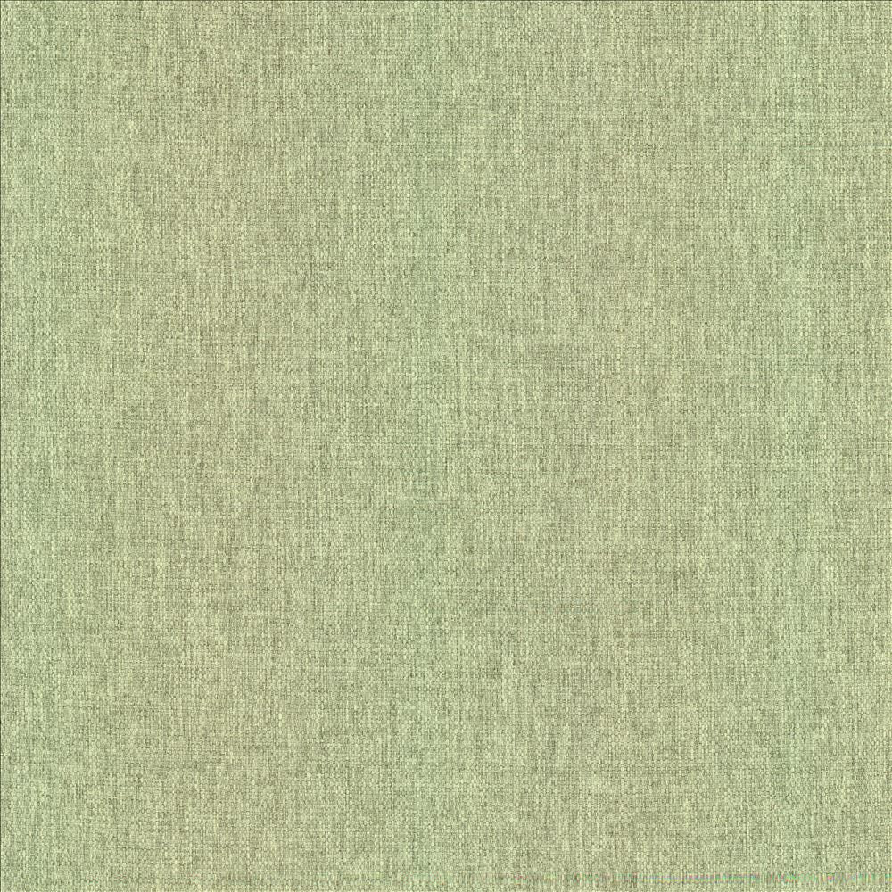 Mateo Celadon by Kasmir Fabric 5165 100% Polyester
 INDIA </p><p>Repeat: Horizontal: N/A and Vertical: N/A 54 - Fabric Carolina -