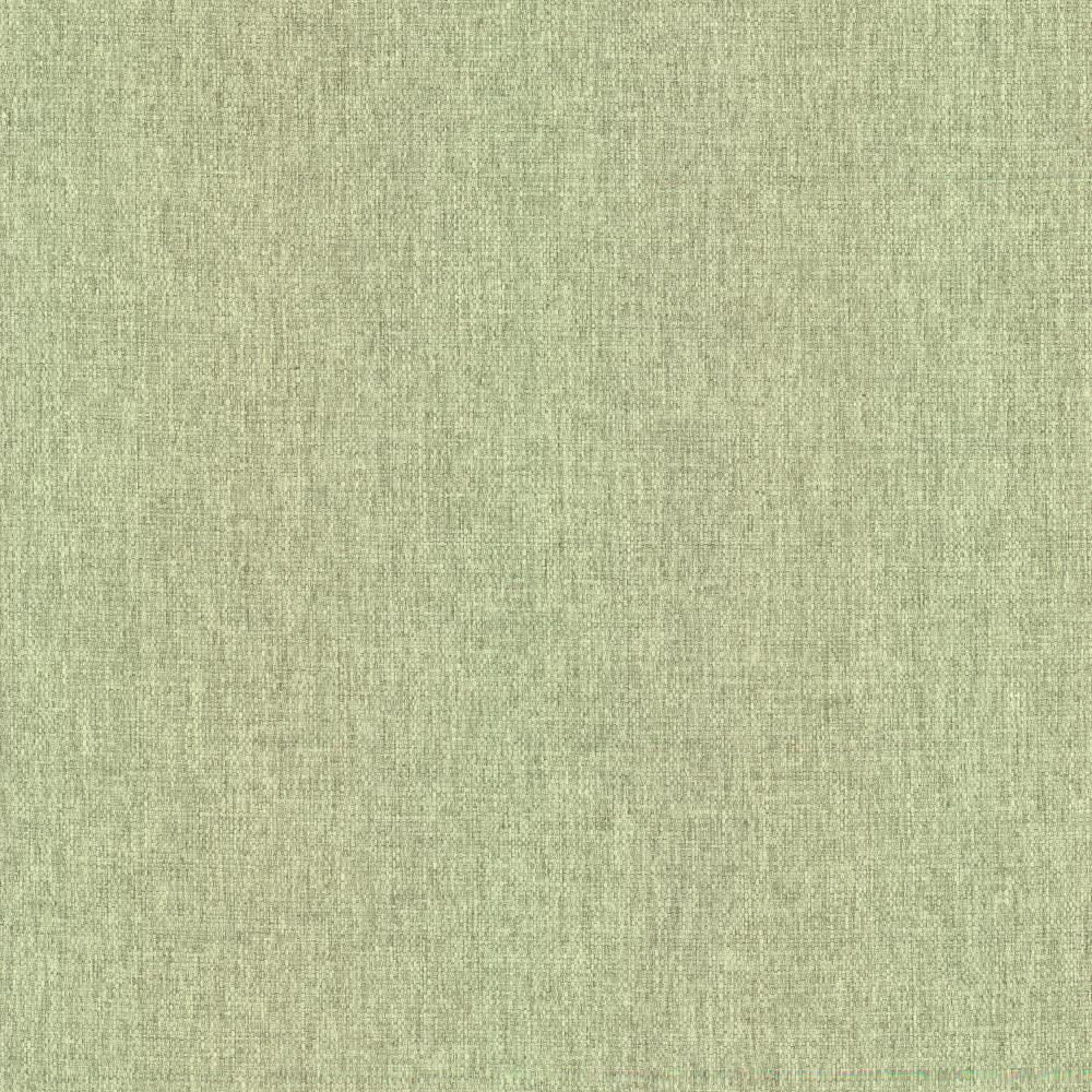 Mateo Celadon by Kasmir Fabric 5165 100% Polyester
 INDIA </p><p>Repeat: Horizontal: N/A and Vertical: N/A 54 - Fabric Carolina -