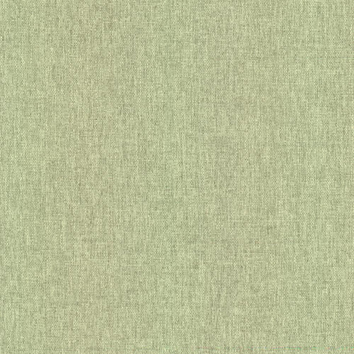 Mateo Celadon by Kasmir Fabric 5165 100% Polyester
 INDIA </p><p>Repeat: Horizontal: N/A and Vertical: N/A 54 - Fabric Carolina -