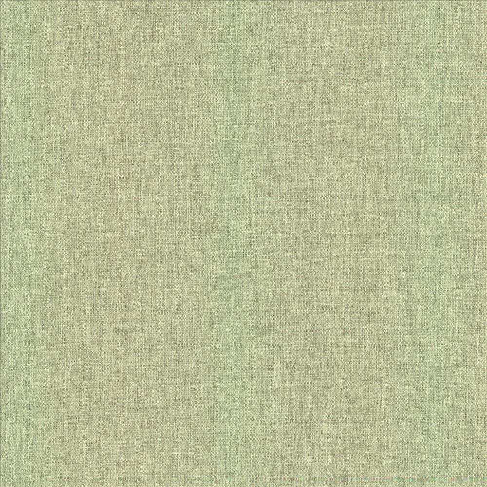 Mateo Celadon by Kasmir Fabric 5165 100% Polyester
 INDIA 55,000 Wyzenbeek Double Rubs </p><p>Repeat: Horizontal: N/A and Vertical: N/A 54 - Fabric Carolina -