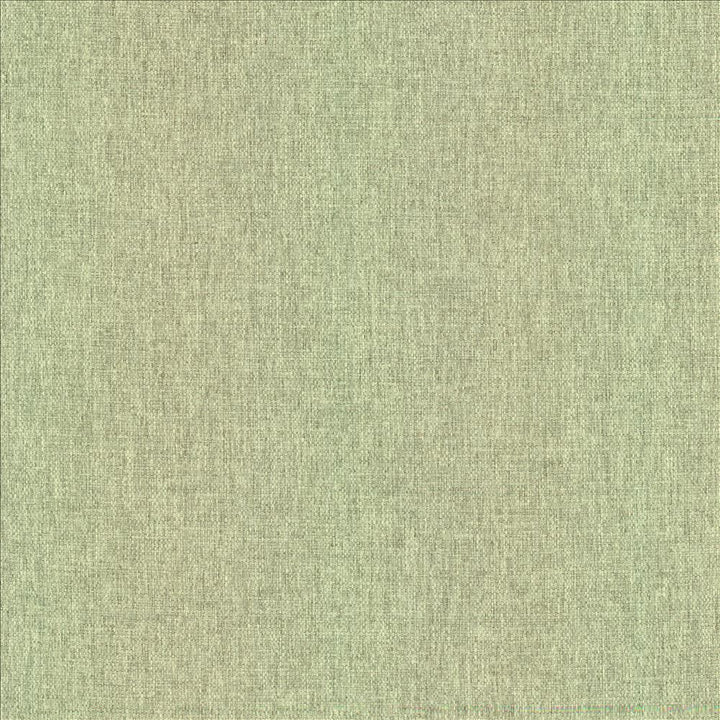 Mateo Celadon by Kasmir Fabric 5165 100% Polyester
 INDIA 55,000 Wyzenbeek Double Rubs </p><p>Repeat: Horizontal: N/A and Vertical: N/A 54 - Fabric Carolina -