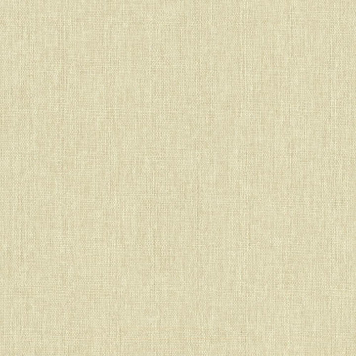 Mateo Chamois by Kasmir Fabric 5165 100% Polyester
 INDIA </p><p>Repeat: Horizontal: N/A and Vertical: N/A 54 - Fabric Carolina -