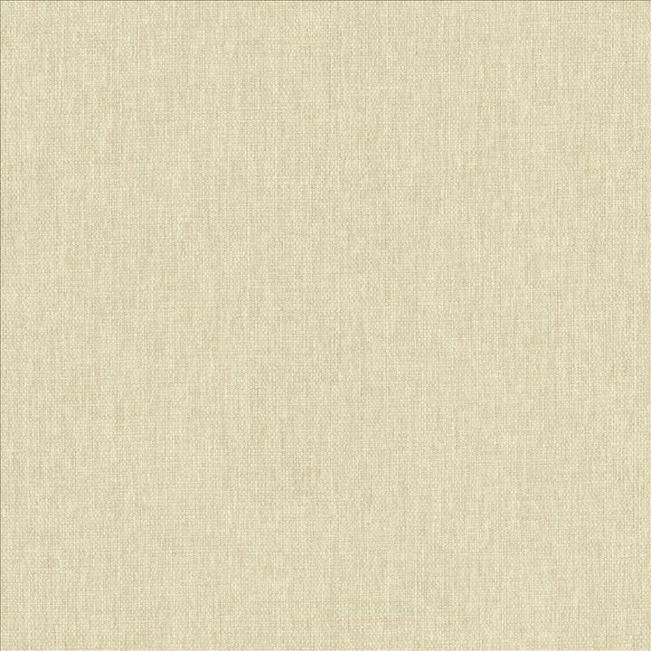 Mateo Chamois by Kasmir Fabric 5165 100% Polyester
 INDIA 55,000 Wyzenbeek Double Rubs Horizontal: N/A and Vertical: N/A 54 - Fabric Carolina -