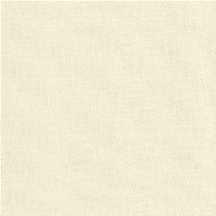 Mateo Coconut by Kasmir Fabric 5165 100% Polyester
 INDIA 55,000 Wyzenbeek Double Rubs Horizontal: N/A and Vertical: N/A 54 - Fabric Carolina -