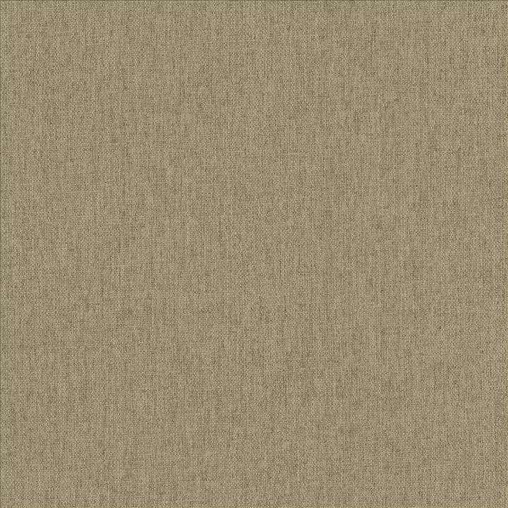 Mateo Khaki by Kasmir Fabric 5165 100% Polyester
 INDIA 55,000 Wyzenbeek Double Rubs </p><p>Repeat: Horizontal: N/A and Vertical: N/A 54 - Fabric Carolina -