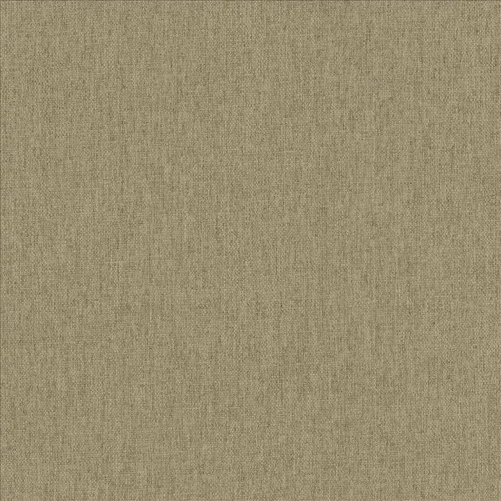 Mateo Khaki by Kasmir Fabric 5165 100% Polyester
 INDIA 55,000 Wyzenbeek Double Rubs Horizontal: N/A and Vertical: N/A 54 - Fabric Carolina -