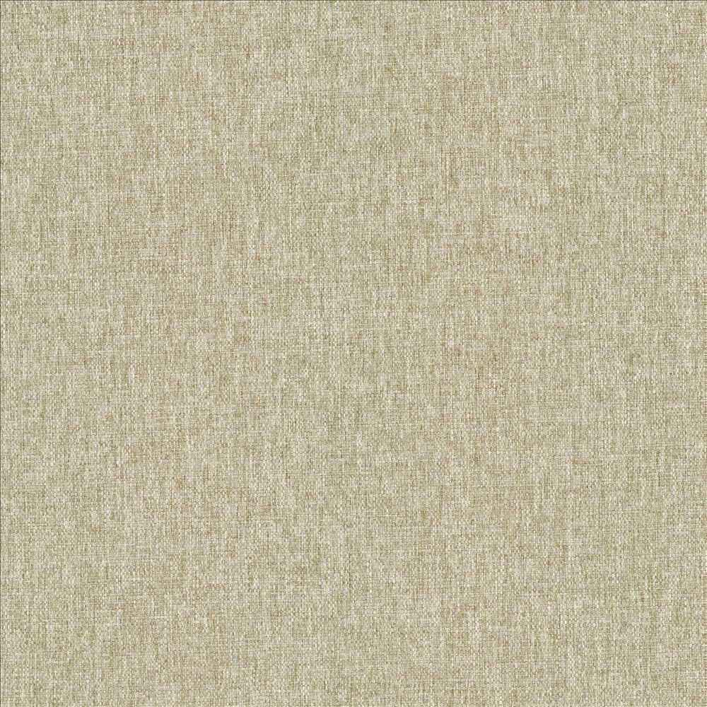 Mateo Linen by Kasmir Fabric 5165 100% Polyester
 INDIA 55,000 Wyzenbeek Double Rubs Horizontal: N/A and Vertical: N/A 54 - Fabric Carolina -