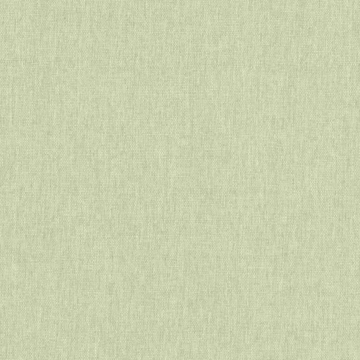 Mateo Mint by Kasmir Fabric 5165 100% Polyester
 INDIA </p><p>Repeat: Horizontal: N/A and Vertical: N/A 54 - Fabric Carolina -