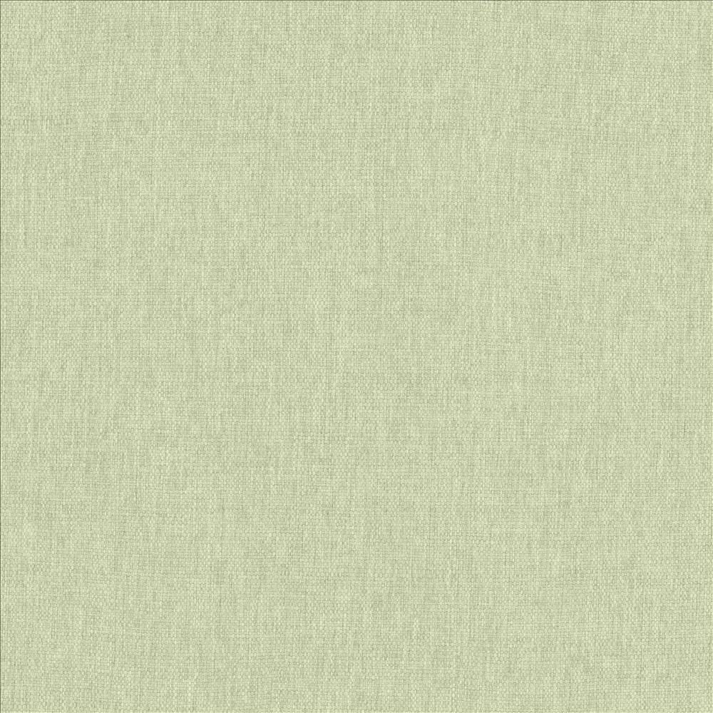 Mateo Mint by Kasmir Fabric 5165 100% Polyester
 INDIA </p><p>Repeat: Horizontal: N/A and Vertical: N/A 54 - Fabric Carolina -
