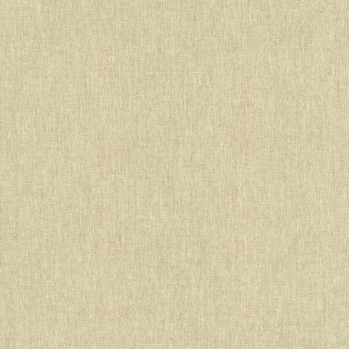 Mateo Muslin by Kasmir Fabric 5165 100% Polyester
 INDIA </p><p>Repeat: Horizontal: N/A and Vertical: N/A 54 - Fabric Carolina -