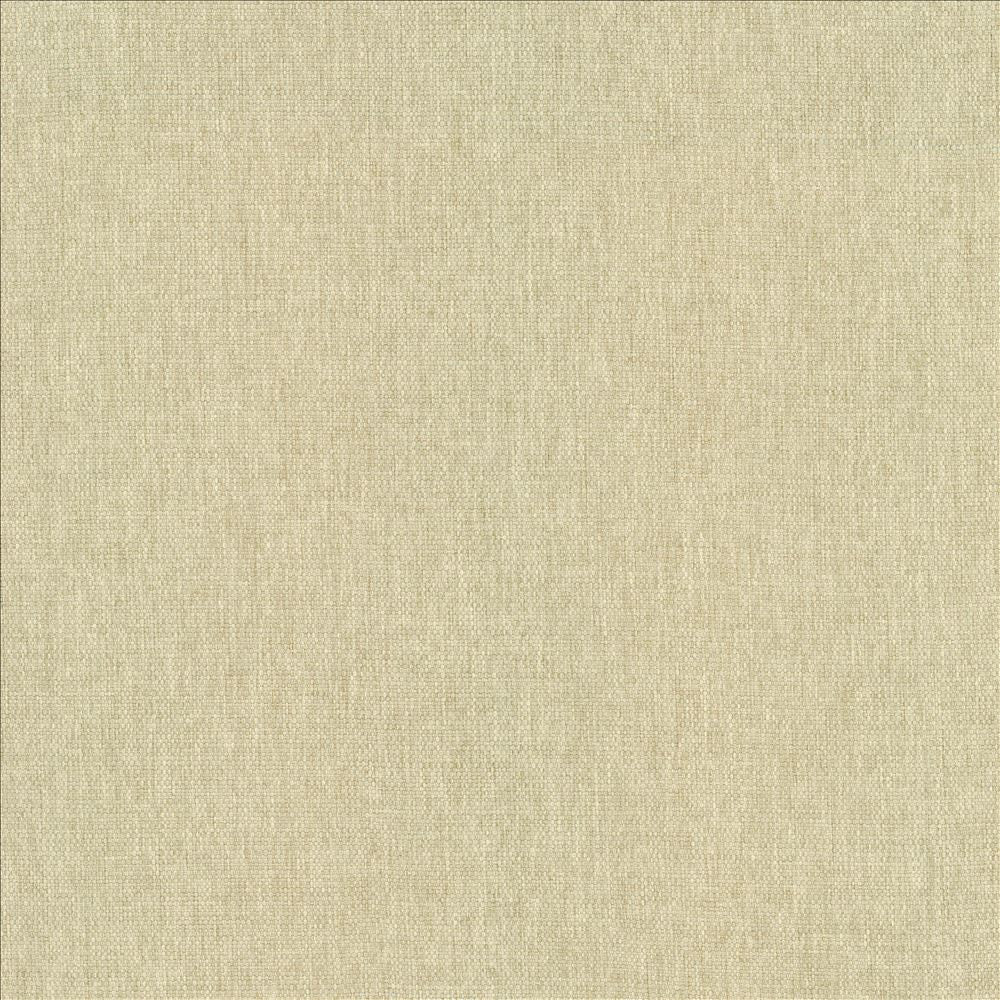 Mateo Muslin by Kasmir Fabric 5165 100% Polyester
 INDIA 55,000 Wyzenbeek Double Rubs Horizontal: N/A and Vertical: N/A 54 - Fabric Carolina -