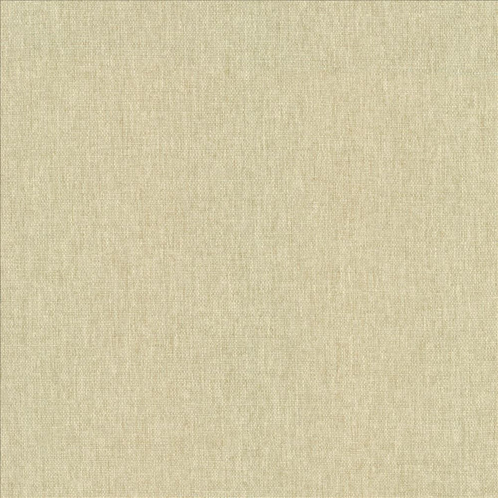 Mateo Muslin by Kasmir Fabric 5165 100% Polyester
 INDIA 55,000 Wyzenbeek Double Rubs Horizontal: N/A and Vertical: N/A 54 - Fabric Carolina -