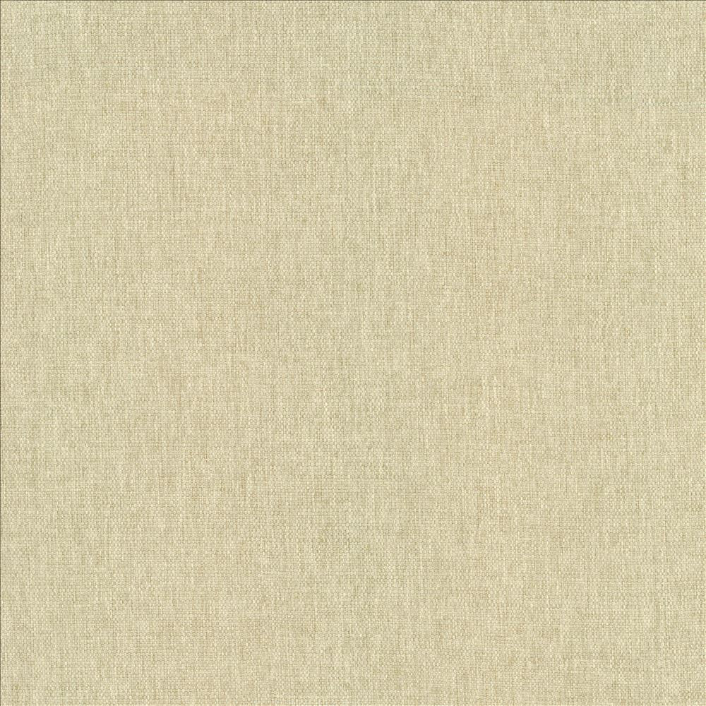 Mateo Muslin by Kasmir Fabric 5165 100% Polyester
 INDIA 55,000 Wyzenbeek Double Rubs </p><p>Repeat: Horizontal: N/A and Vertical: N/A 54 - Fabric Carolina -