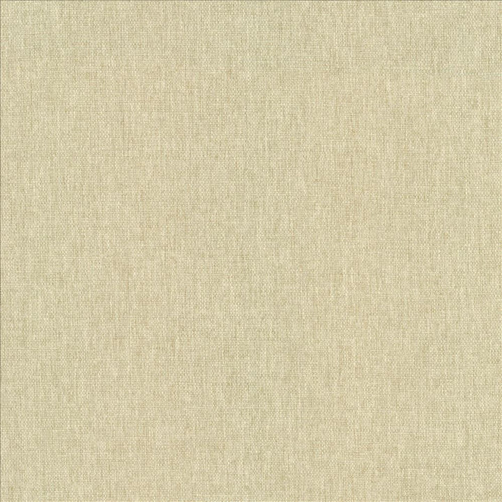 Mateo Muslin by Kasmir Fabric 5165 100% Polyester
 INDIA 55,000 Wyzenbeek Double Rubs </p><p>Repeat: Horizontal: N/A and Vertical: N/A 54 - Fabric Carolina -