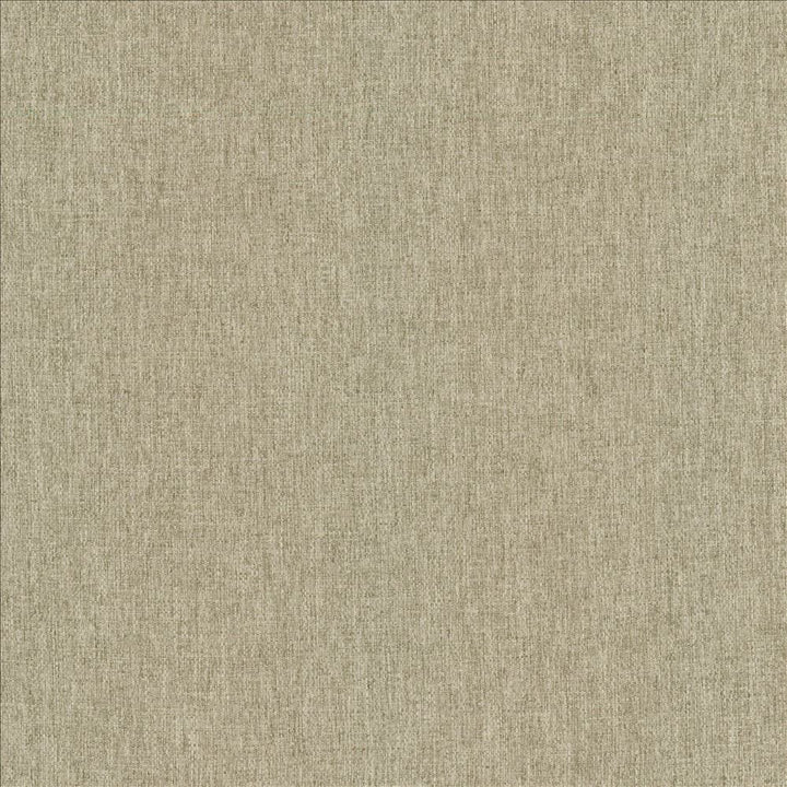 Mateo Seal by Kasmir Fabric 5165 100% Polyester
 INDIA 55,000 Wyzenbeek Double Rubs Horizontal: N/A and Vertical: N/A 54 - Fabric Carolina -
