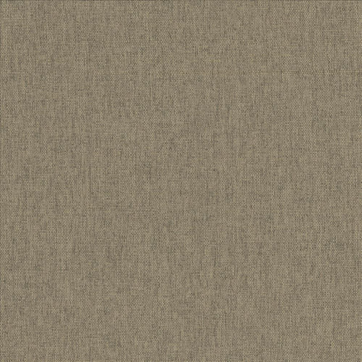 Mateo Steel by Kasmir Fabric 5165 100% Polyester
 INDIA </p><p>Repeat: Horizontal: N/A and Vertical: N/A 54 - Fabric Carolina -