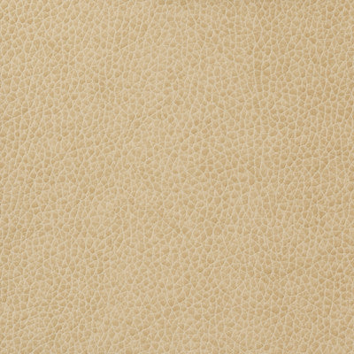 Kravet Basics Matter-1116 by Kravet Basics Fabric