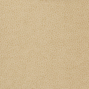 Kravet Basics Matter-1116 by Kravet Basics Fabric