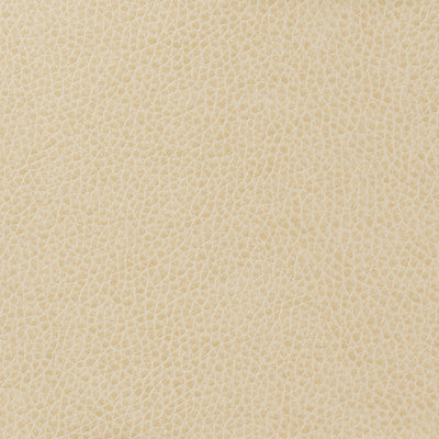 Kravet Basics Matter-111 by Kravet Basics Fabric