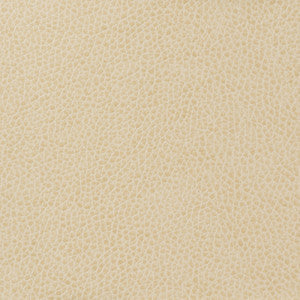 Kravet Basics Matter-111 by Kravet Basics Fabric