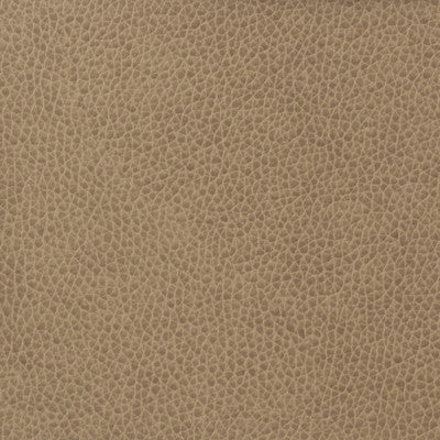 Kravet Basics Matter-1611 by Kravet Basics Fabric