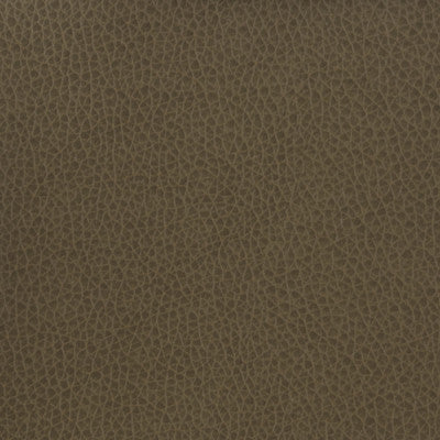 Kravet Basics Matter-21 by Kravet Basics Fabric
