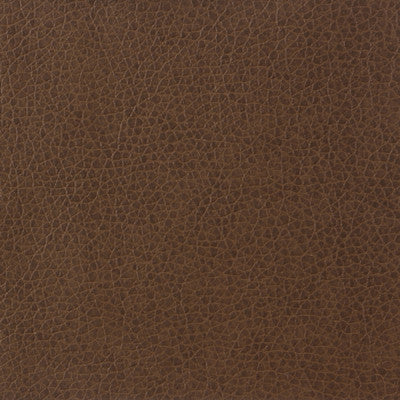 Kravet Basics Matter-6 by Kravet Basics Fabric
