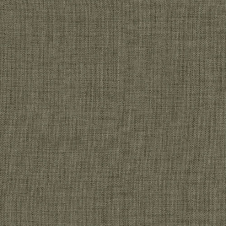 Maura Ash by Kasmir Fabric 5165 100% Polyester
 TURKEY </p><p>Repeat: Horizontal: N/A and Vertical: N/A 57 - Fabric Carolina -
