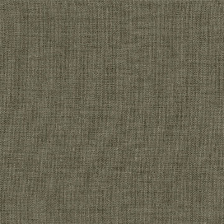 Maura Ash by Kasmir Fabric 5165 100% Polyester
 TURKEY Not Tested </p><p>Repeat: Horizontal: N/A and Vertical: N/A 57 - Fabric Carolina -