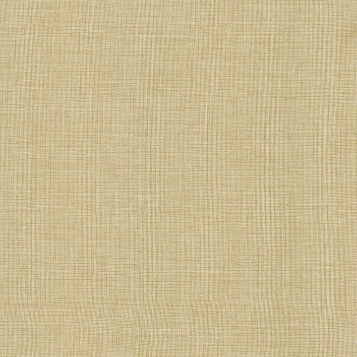 Maura Chamois by Kasmir Fabric 5165 100% Polyester
 TURKEY </p><p>Repeat: Horizontal: N/A and Vertical: N/A 57 - Fabric Carolina -