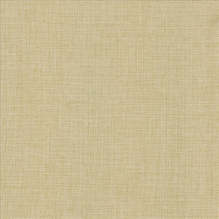 Maura Chamois  by Kasmir Fabric See sample 100% Polyester
 TURKEY Not Tested </p><p>Repeat: Horizontal: N/A and Vertical: N/A 57  - Fabric Carolina -