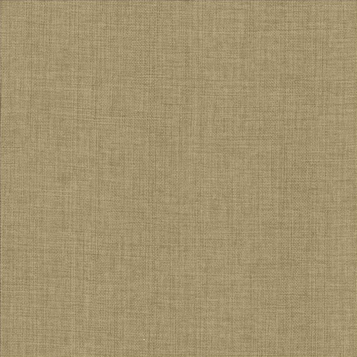 Maura Doeskin by Kasmir Fabric 5165 100% Polyester
 TURKEY Not Tested </p><p>Repeat: Horizontal: N/A and Vertical: N/A 57 - Fabric Carolina -