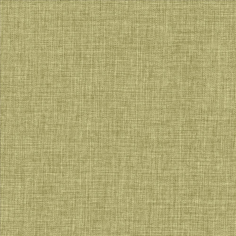 Maura Grass by Kasmir Fabric 5165 100% Polyester
 TURKEY Not Tested Horizontal: N/A and Vertical: N/A 57 - Fabric Carolina -