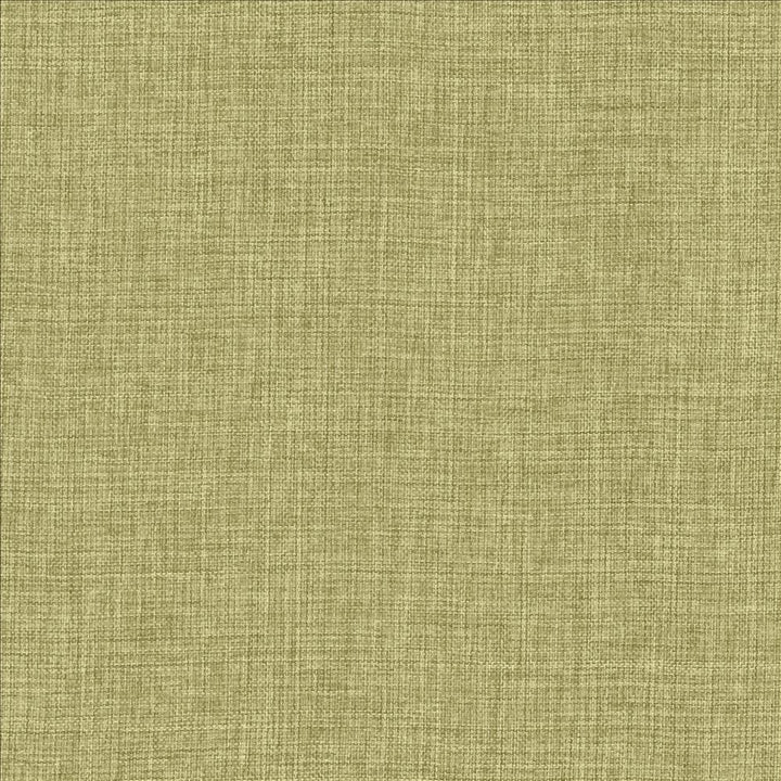 Maura Grass by Kasmir Fabric 5165 100% Polyester
 TURKEY Not Tested Horizontal: N/A and Vertical: N/A 57 - Fabric Carolina -