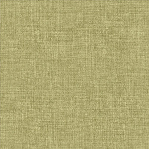 Maura Grass by Kasmir Fabric