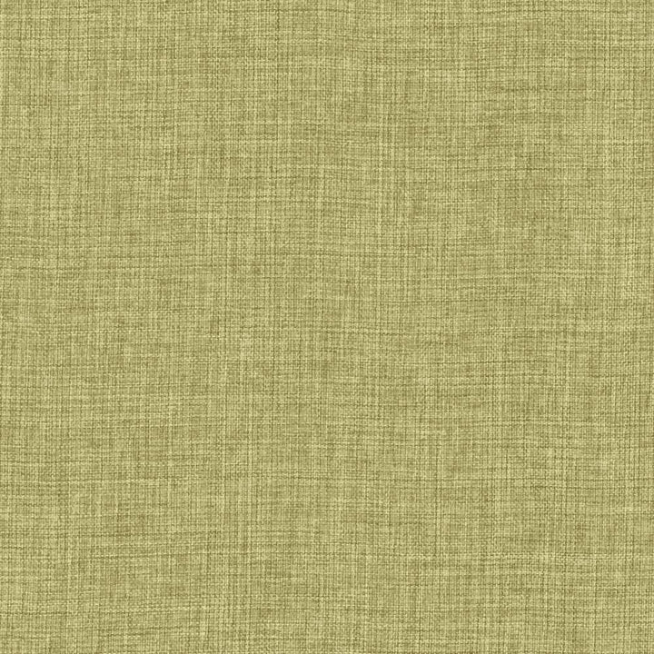 Maura Grass by Kasmir Fabric 5165 100% Polyester
 TURKEY </p><p>Repeat: Horizontal: N/A and Vertical: N/A 57 - Fabric Carolina -