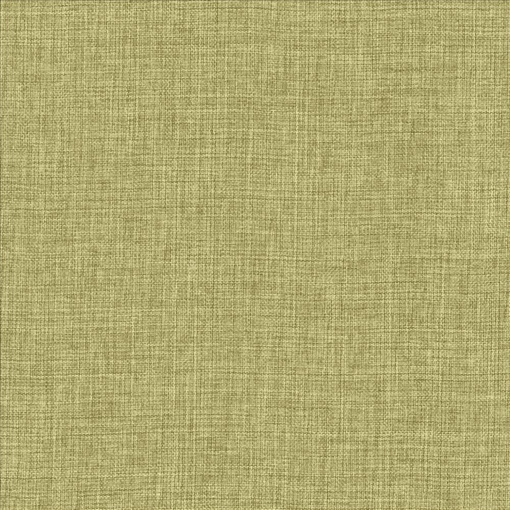 Maura Grass by Kasmir Fabric 5165 100% Polyester
 TURKEY Not Tested </p><p>Repeat: Horizontal: N/A and Vertical: N/A 57 - Fabric Carolina -