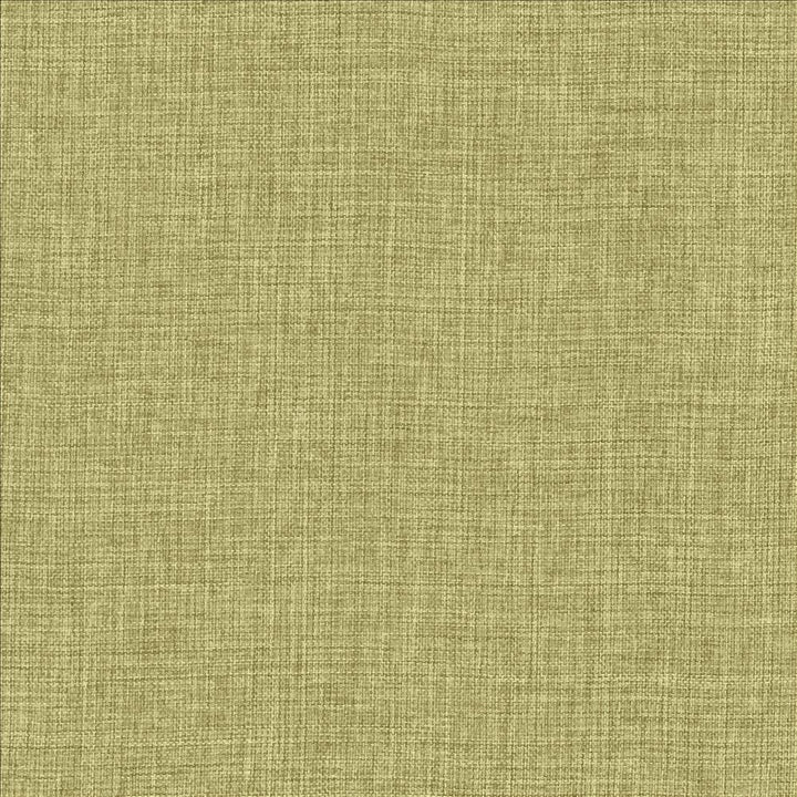 Maura Grass by Kasmir Fabric 5165 100% Polyester
 TURKEY Not Tested </p><p>Repeat: Horizontal: N/A and Vertical: N/A 57 - Fabric Carolina -