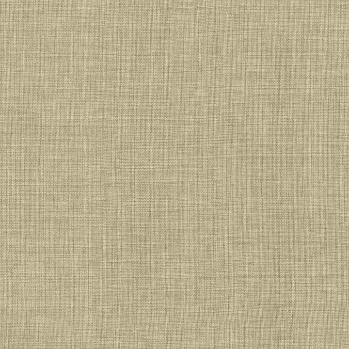Maura Linen by Kasmir Fabric 5165 100% Polyester
 TURKEY </p><p>Repeat: Horizontal: N/A and Vertical: N/A 57 - Fabric Carolina -
