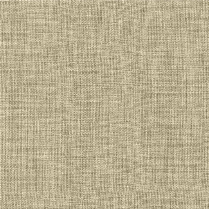 Maura Linen by Kasmir Fabric 5165 100% Polyester
 TURKEY Not Tested </p><p>Repeat: Horizontal: N/A and Vertical: N/A 57 - Fabric Carolina -