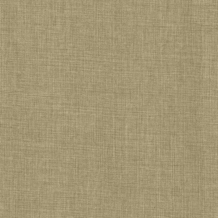 Maura Otter by Kasmir Fabric 5165 100% Polyester
 TURKEY </p><p>Repeat: Horizontal: N/A and Vertical: N/A 57 - Fabric Carolina -
