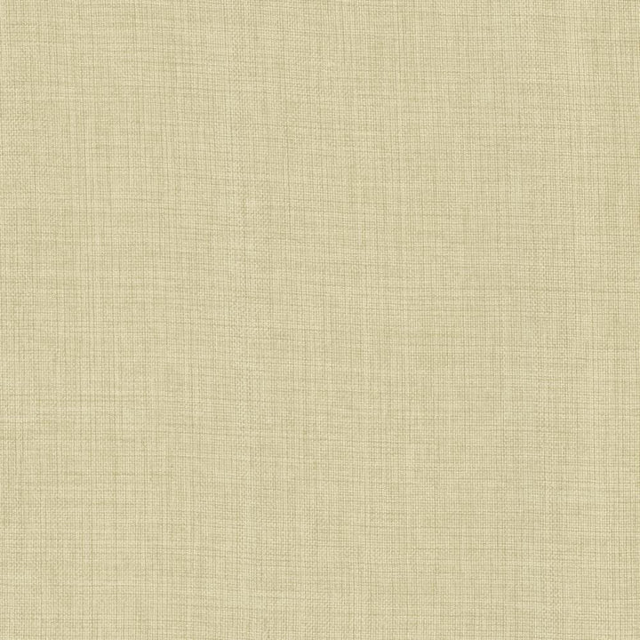 Maura Stone by Kasmir Fabric 5165 100% Polyester
 TURKEY </p><p>Repeat: Horizontal: N/A and Vertical: N/A 57 - Fabric Carolina -