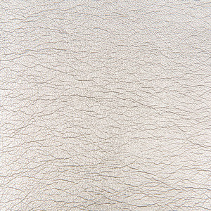Maximo Silver by Kravet Contract Fabric