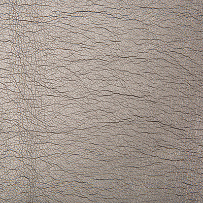 Maximo Carbon by Kravet Contract Fabric